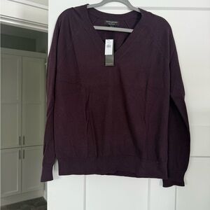 Banana Republic Plum V-Neck Sweater